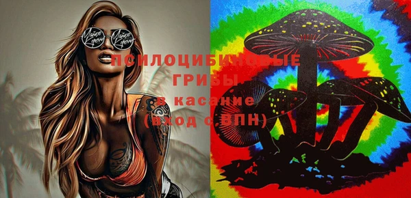 не бодяженный Медногорск
