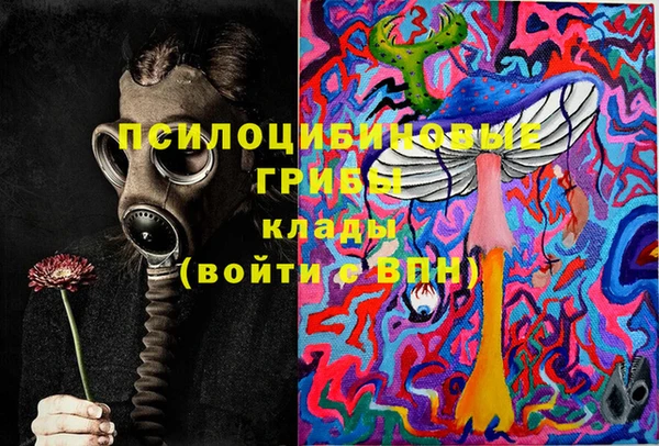 кокс Медвежьегорск